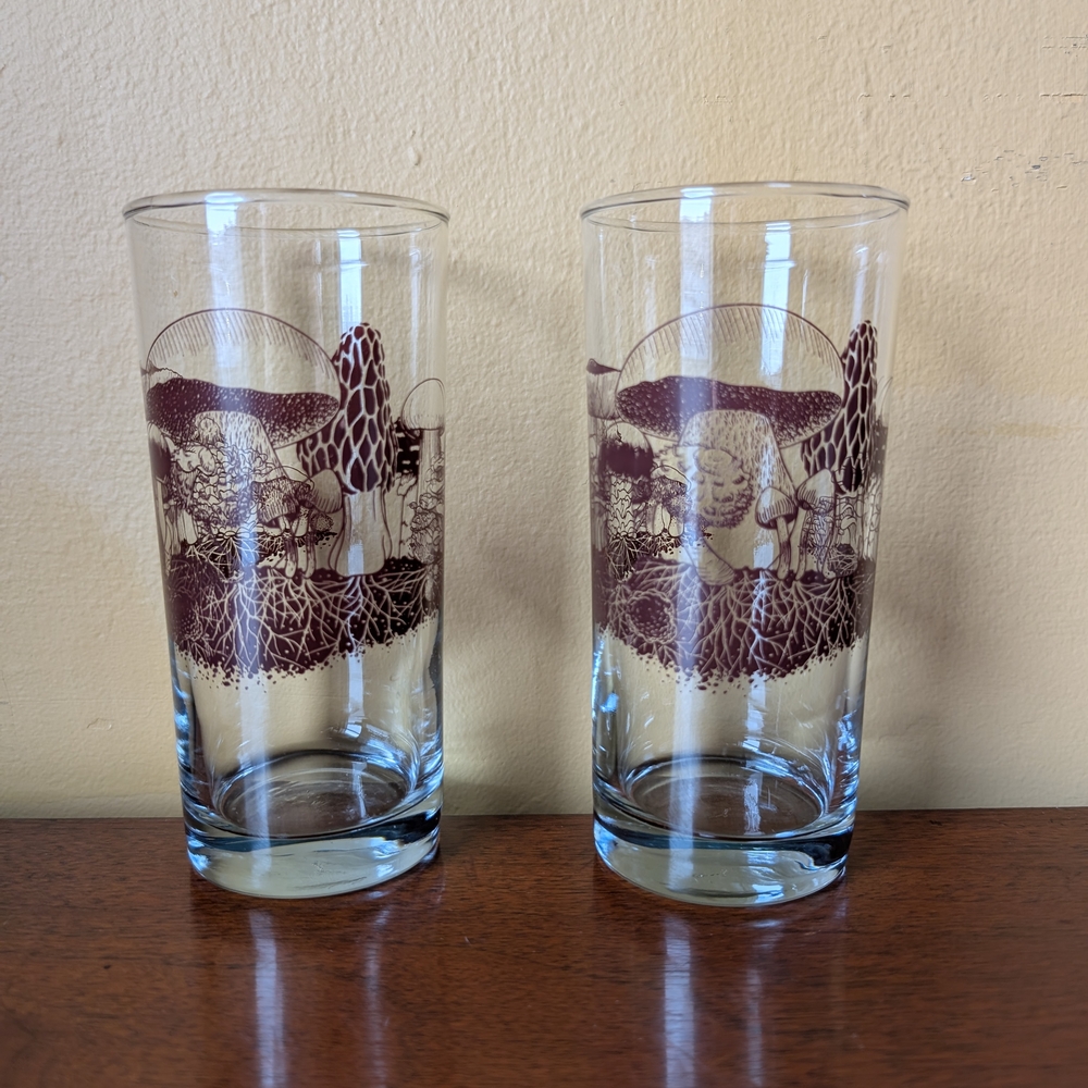Set Of 2 Down to Earth Basics Glasses Vintage Mushrooms by Marcy Tippmann